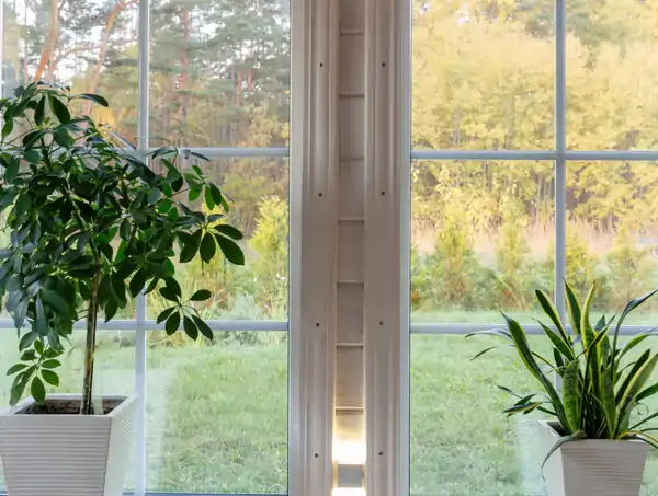 Fönsterputs i Stockholm för skinande rena fönster 